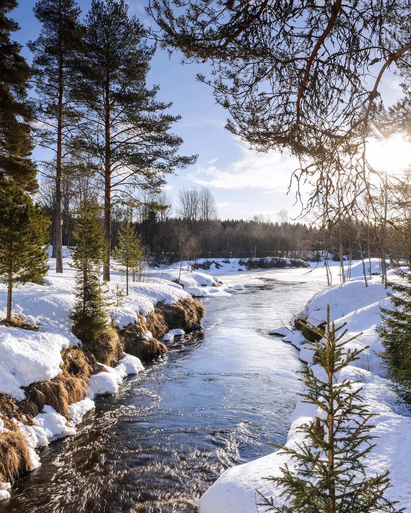 Wishing everyone a very Merry Christmas  ...#ulfnordfjell #sweden🇸🇪 #swedishgarden #swedishgardens #gardenphotography #gardenphotographer #christmas #snow #swedenwinter #wintergarden
