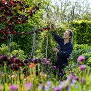 Monty Don for BBC Gardeners' World Magazine
